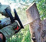 Best Utility Line Clearance  in Gruetli Laager, TN