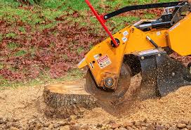 Lawn Pest Prevention in Gruetli Laager, TN