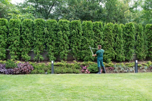 Best Hazardous Tree Removal  in Gruetli Laager, TN